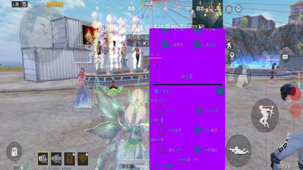 和平精英辅助【火焰鸟一体直装】人物透视 无后坐力 开枪自瞄 开车飞天 飞天跳伞 皮肤美化 物资显示 队伍信息